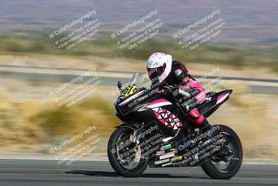 media/Jan-13-2024-SoCal Trackdays (Sat) [[9c032fe5aa]]/Turn 14 (10am)/